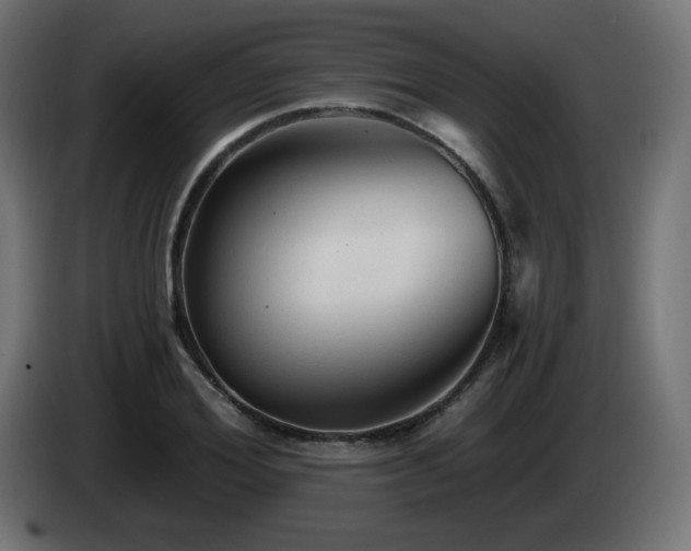 X0000085060980200703051435