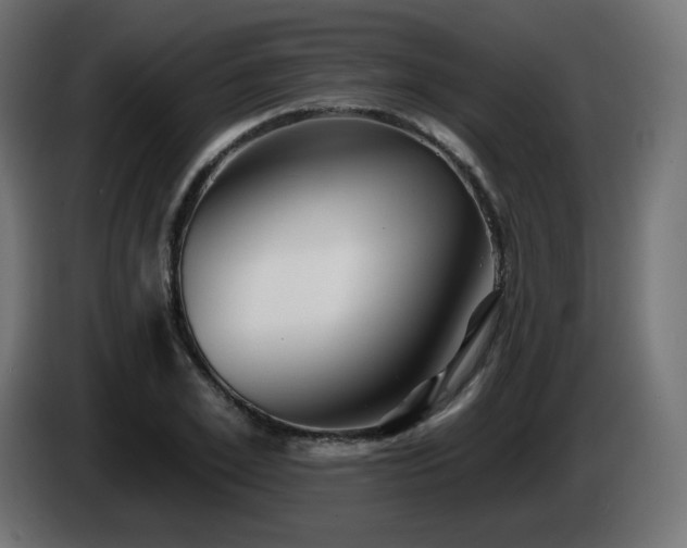 X0000085060981200703051435
