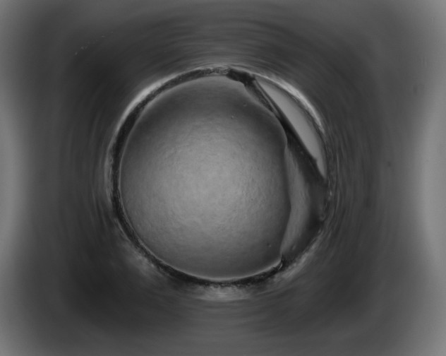 X0000085060983200703051435
