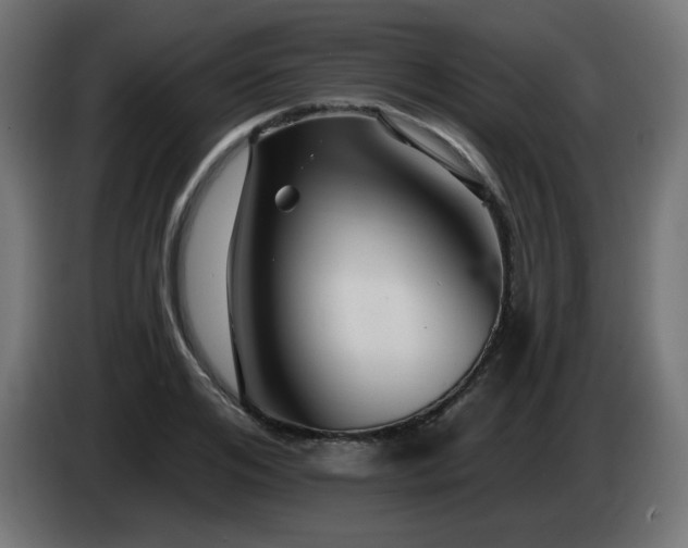 X0000085060984200703051435