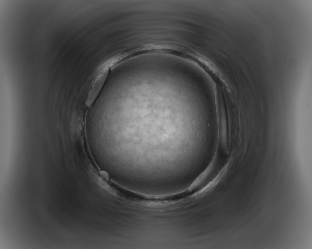X0000085060985200703051435