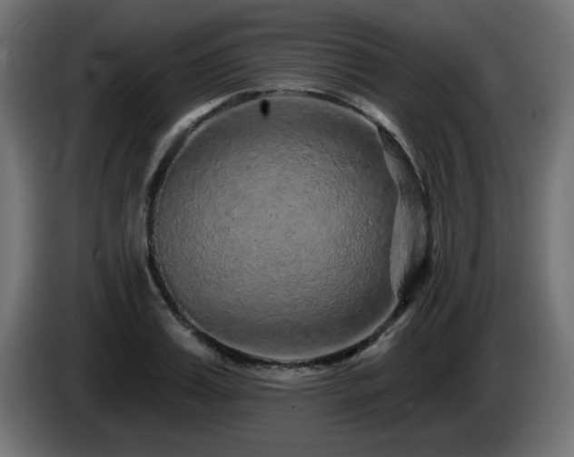 X0000085060987200703051435