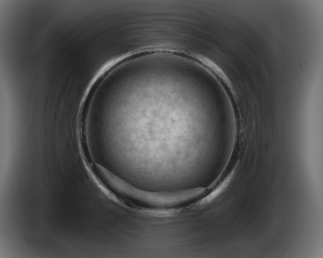 X0000085060989200703051435