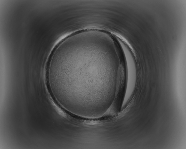 X0000085060991200703051435