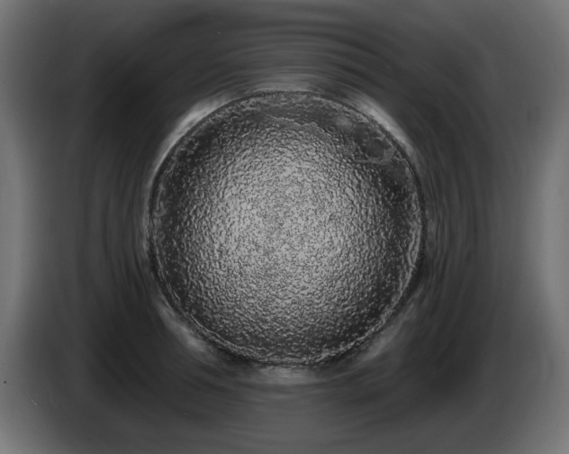 X0000085060994200703051435