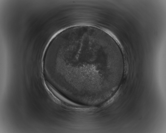 X0000085060996200703051435