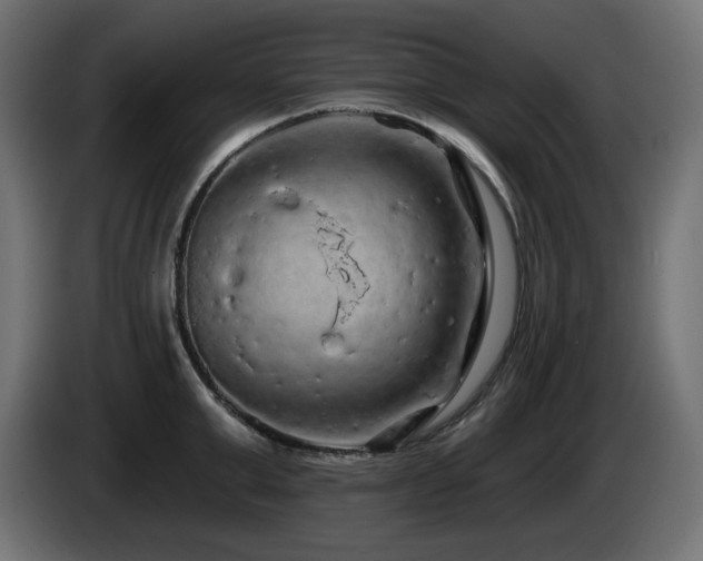 X0000085060999200703051435