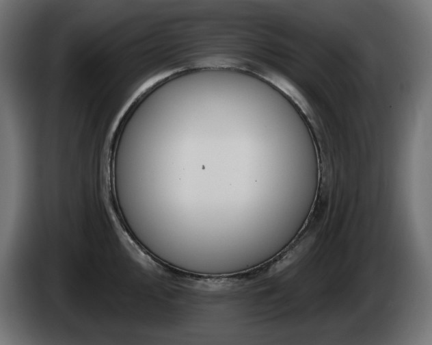 X0000085061000200703051435