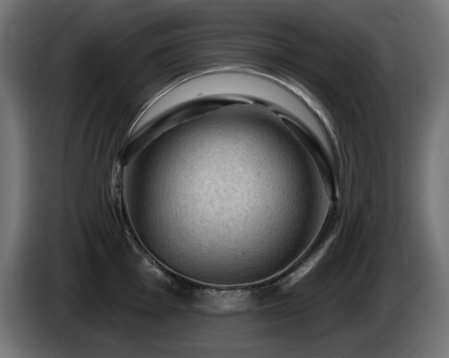 X0000085061001200703051435