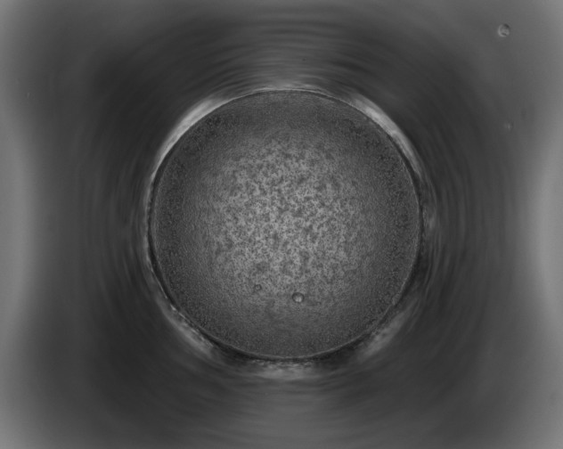 X0000085061002200703051435