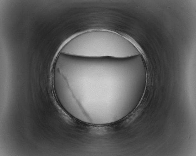X0000085061004200703051435