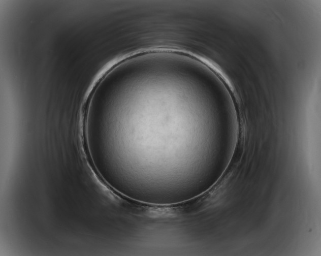 X0000085061006200703051435
