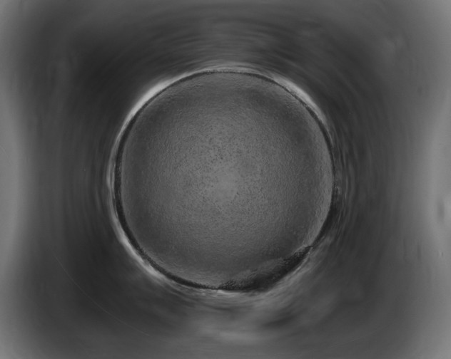 X0000085061007200703051435