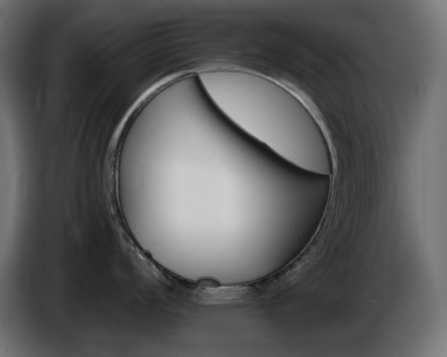 X0000085061008200703051435