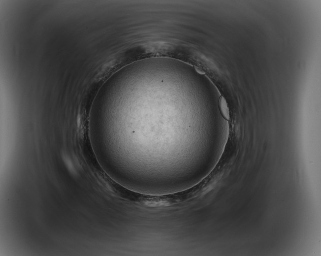 X0000085061012200703051434