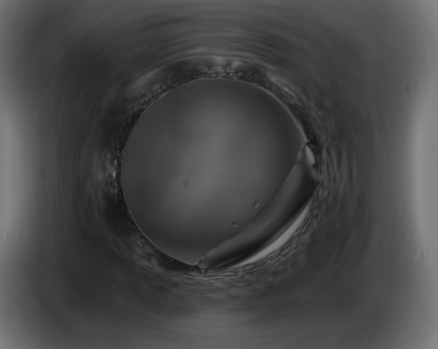 X0000085061013200703051434