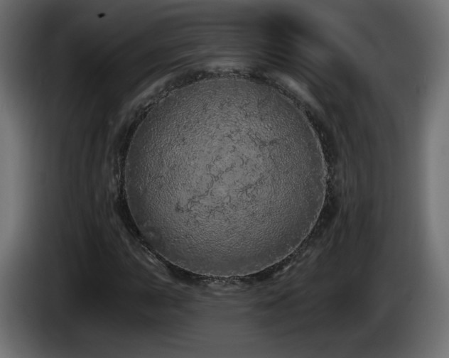 X0000085061015200703051434