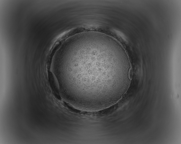 X0000085061016200703051434