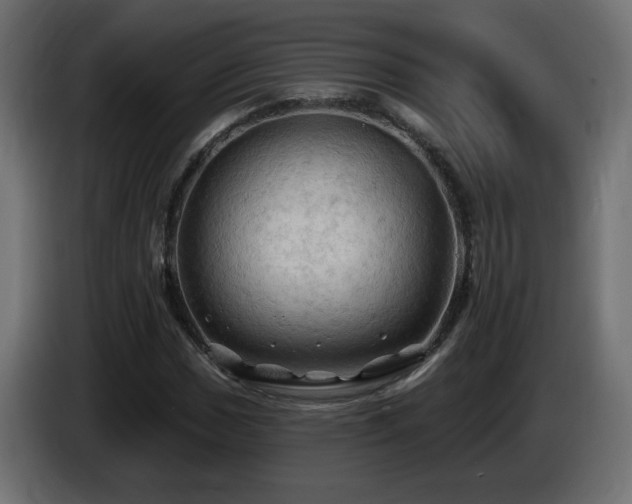 X0000085061017200703051434