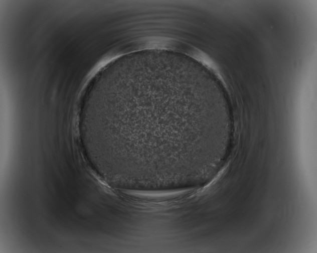 X0000085061019200703051434