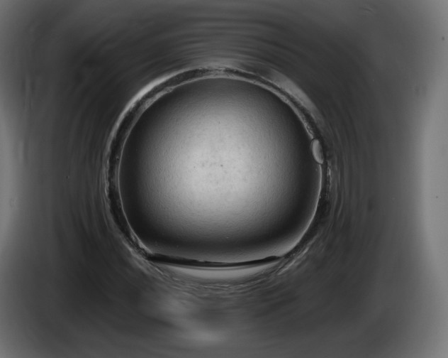 X0000085061020200703051434