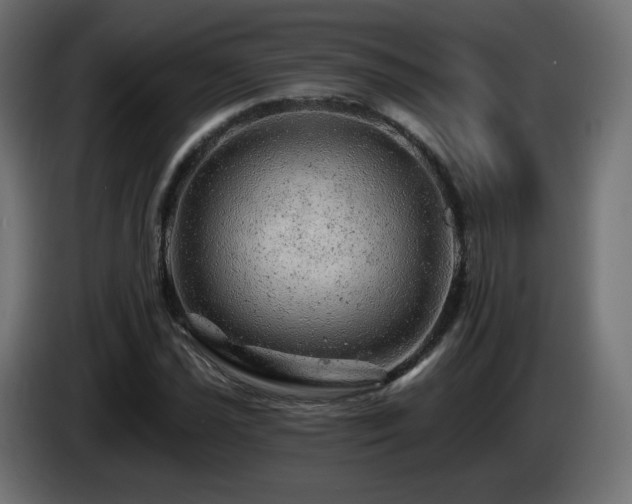 X0000085061021200703051434