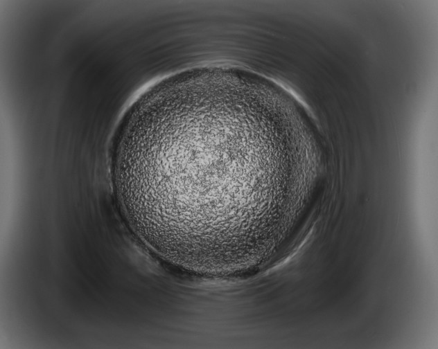 X0000085061022200703051434