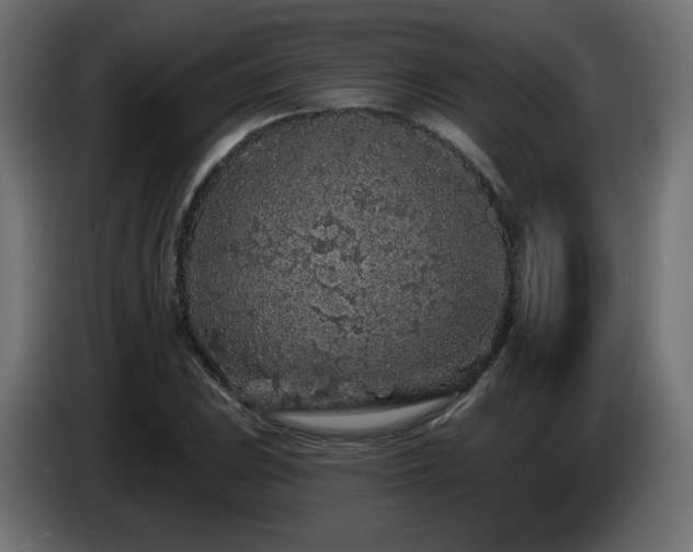 X0000085061023200703051434