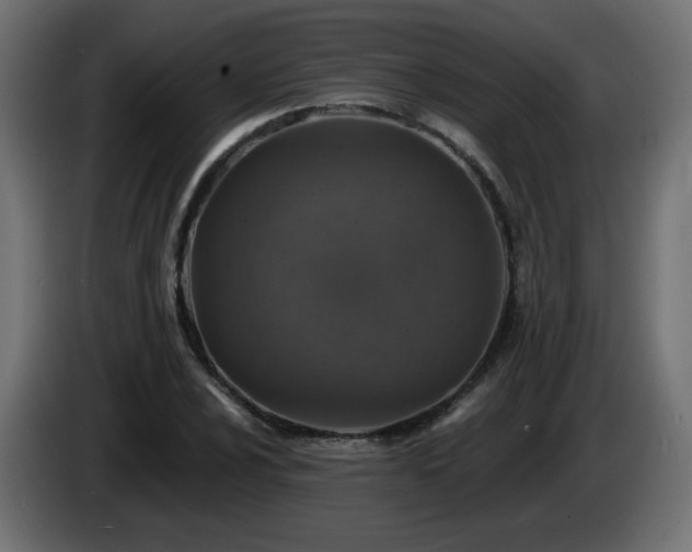 X0000085061024200703051434