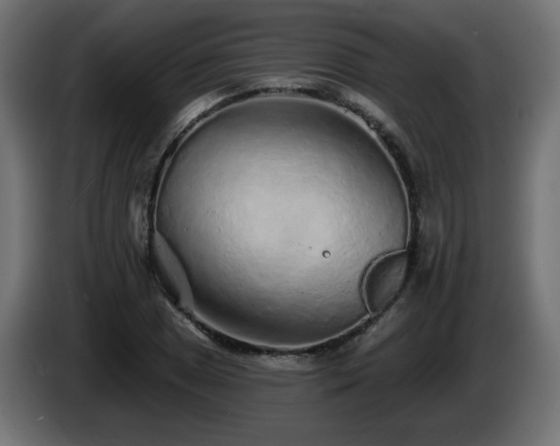 X0000085061025200703051434