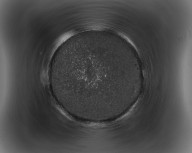 X0000085061026200703051434