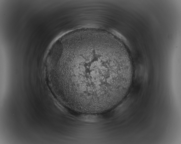 X0000085061027200703051434