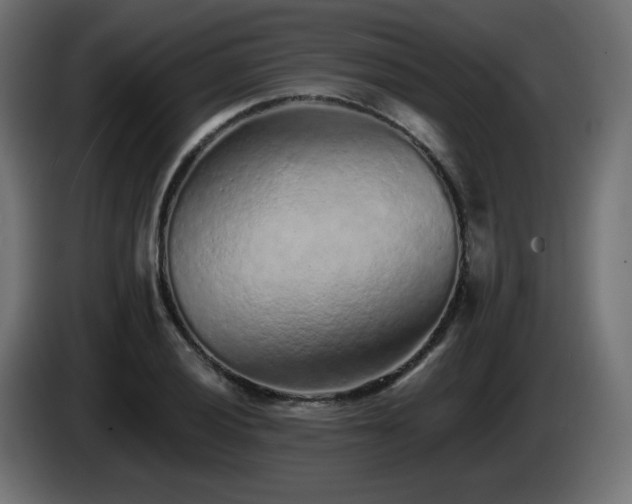 X0000085061028200703051434