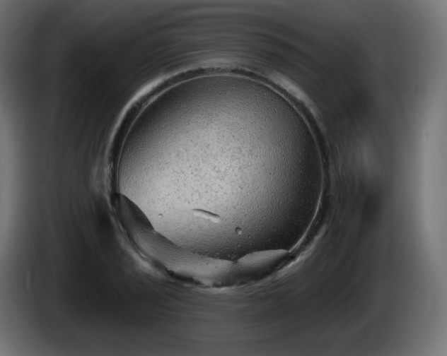 X0000085061029200703051434