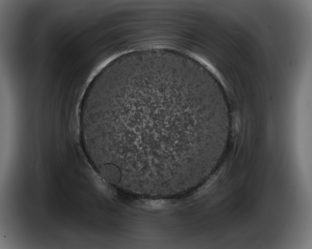 X0000085061031200703051434