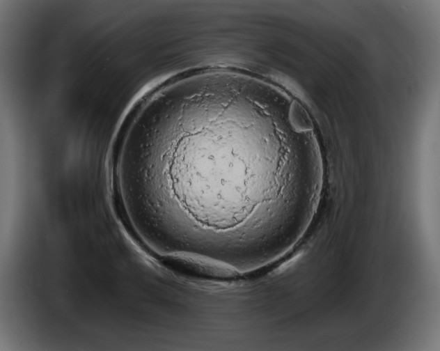 X0000085061032200703051434