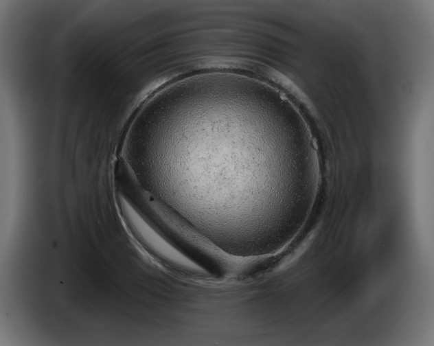 X0000085061033200703051434