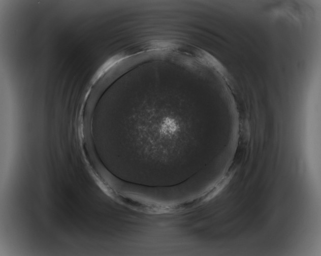 X0000085061034200703051434