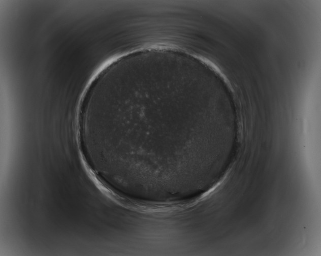 X0000085061038200703051434