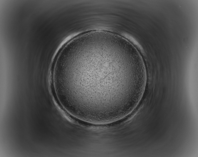 X0000085061040200703051434