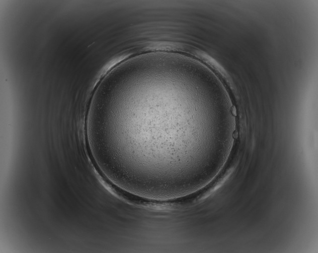 X0000085061041200703051434
