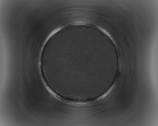 X0000085061042200703051434