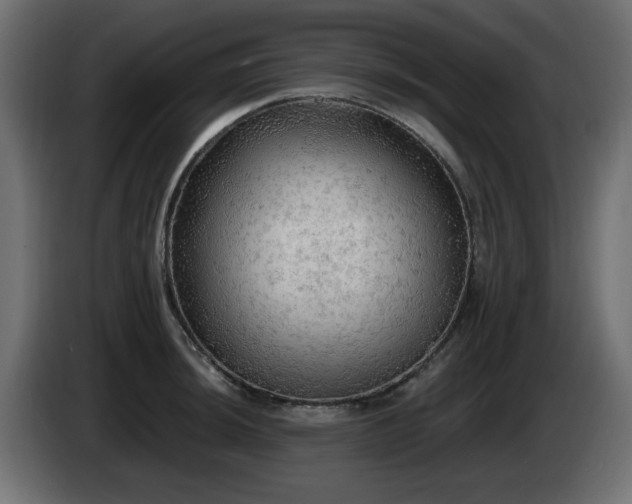 X0000085061044200703051434