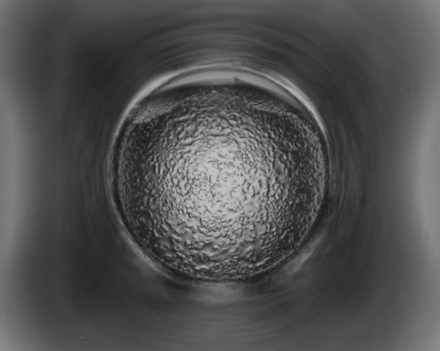X0000085061045200703051434