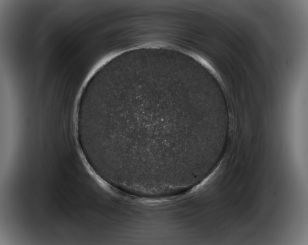 X0000085061046200703051434