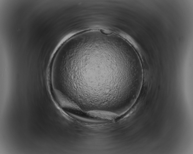 X0000085061048200703051435