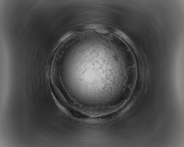 X0000085061049200703051435