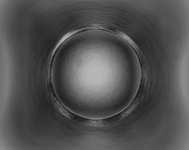 X0000085061052200703051435