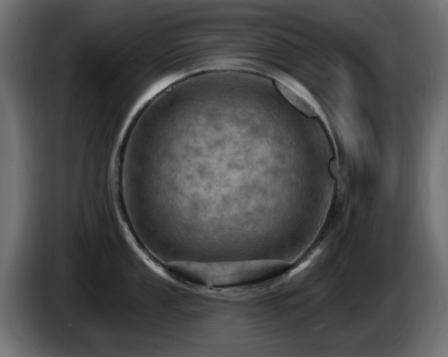 X0000085061053200703051435