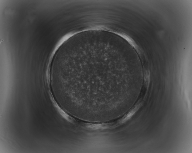 X0000085061054200703051435